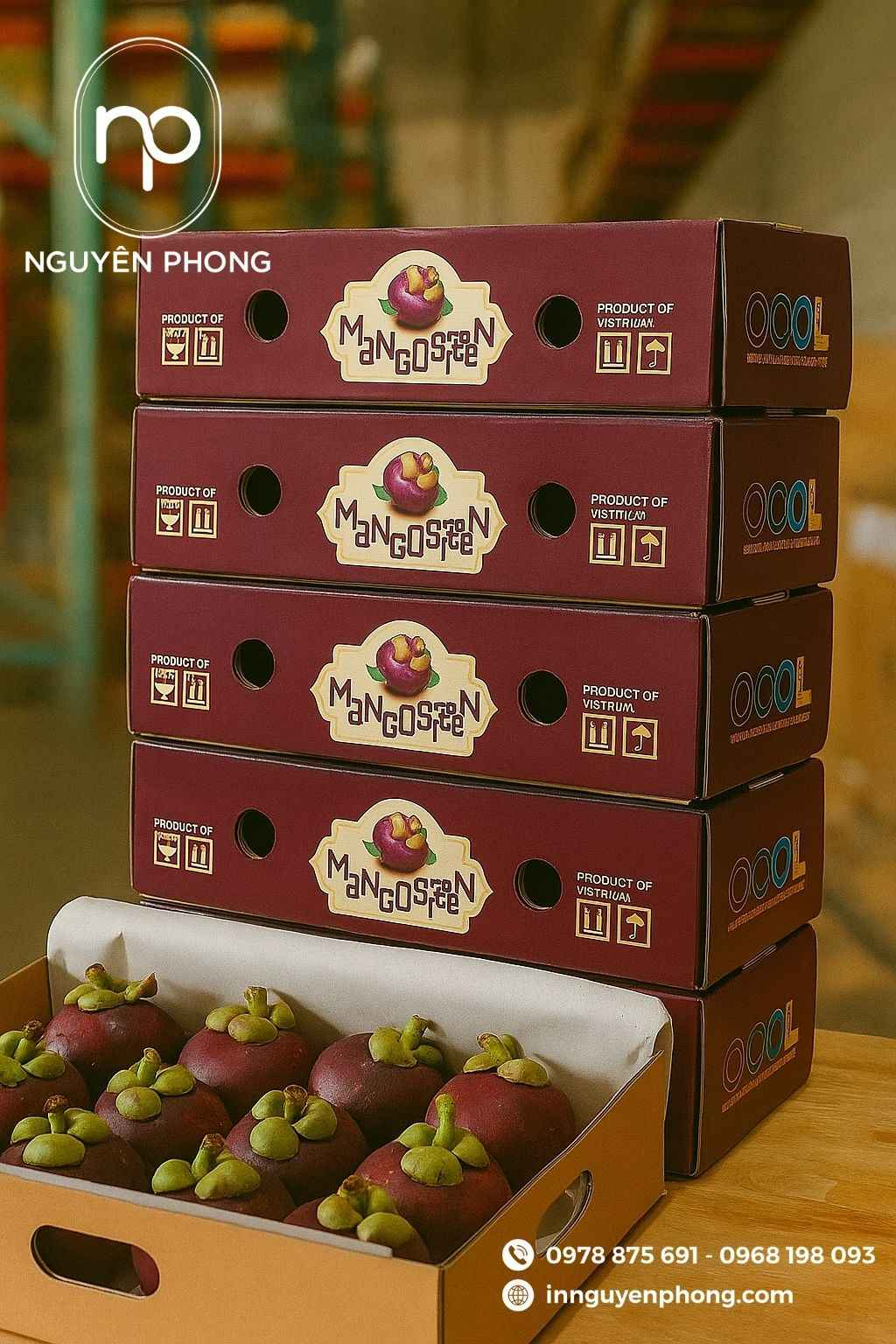 Mẫu thùng carton đựng măng cụt in màu sắc nét